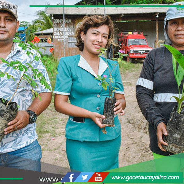 Municipalidad entrega plantas ornamentales a escuelas y universidad local