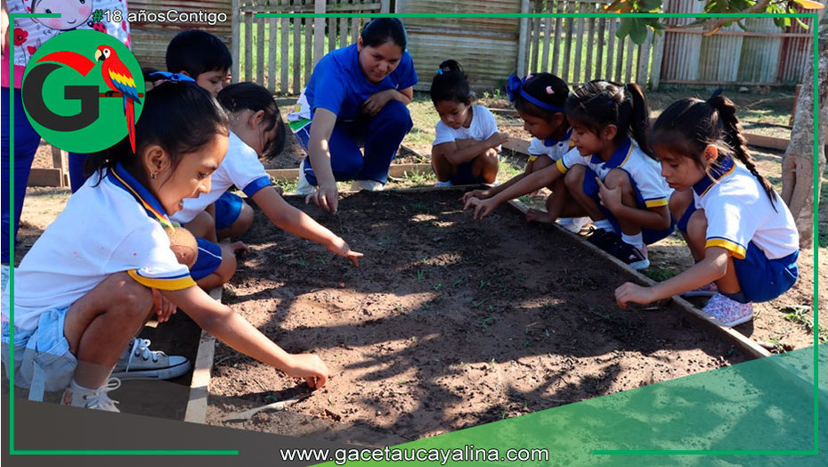 Proyecto enseña sostenibilidad y promueve hábitos saludables en Pucallpa