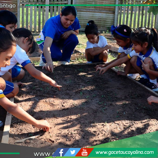 Proyecto enseña sostenibilidad y promueve hábitos saludables en Pucallpa