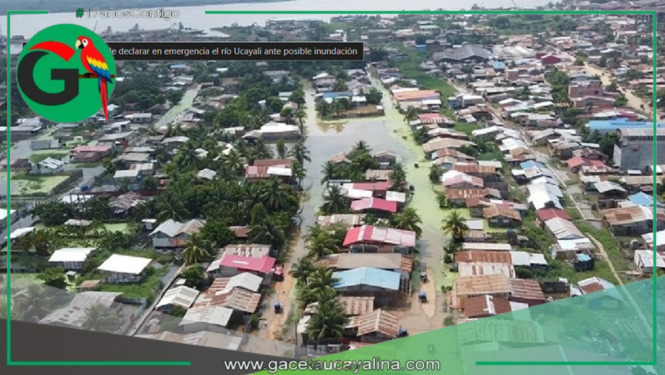 Ucayali: piden declarar en emergencia el río Ucayali por riesgo de desborde que amenaza a más de cinco mil familias