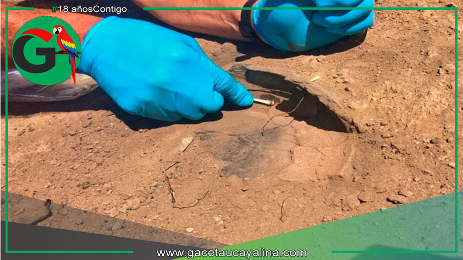 Arqueólogos hallan evidencia de cacao milenario en Amazonas peruano