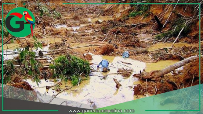 Desamparo estatal ante minería ilegal pone en riesgo a pueblos amazónicos