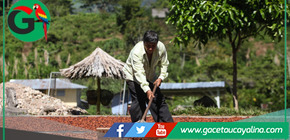 Selva y costa impulsan el liderazgo del Perú en agroexportaciones mundiales