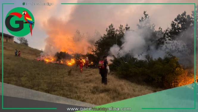 Incendio arrasa más de 200 hectáreas en Amazonas y pone en alerta a población local