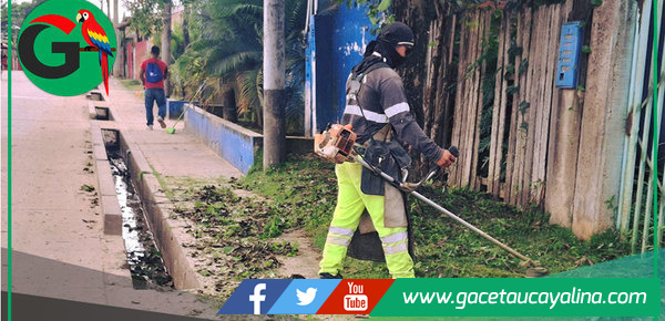 Municipalidad de Ucayali - Contamana mejora áreas verdes en vías principales