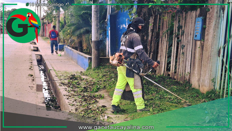 Municipalidad de Ucayali - Contamana mejora áreas verdes en vías principales