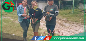 Municipalidad entrega plantas a colegios rurales de Pampa Hermosa