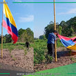 Retiran bandera colombiana izada en isla peruana Santa Rosa