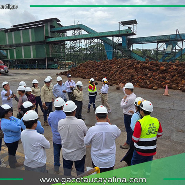Mesa Técnica de Palma Aceitera resalta manejo responsable y sostenible de Ocho Sur
