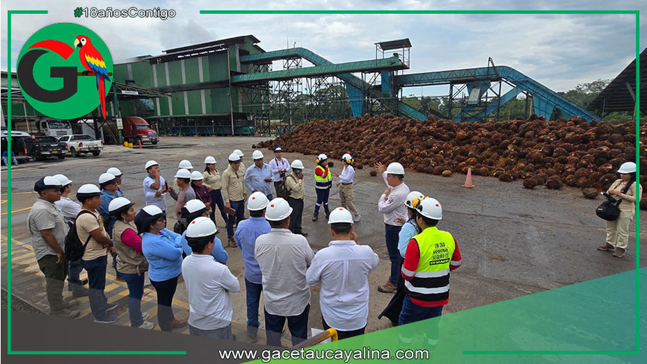 Mesa Técnica de Palma Aceitera resalta manejo responsable y sostenible de Ocho Sur