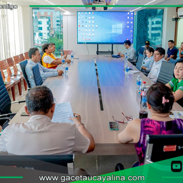 COPROSEC acuerda combatir pandillaje juvenil en Coronel Portillo