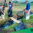 Barrio Manuel E. Rojas participa en gran minga comunal en Contamana