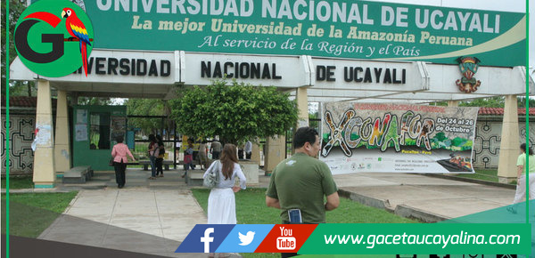 Estudiantes de la UNU alertan riesgo de perder semestre 2025-II