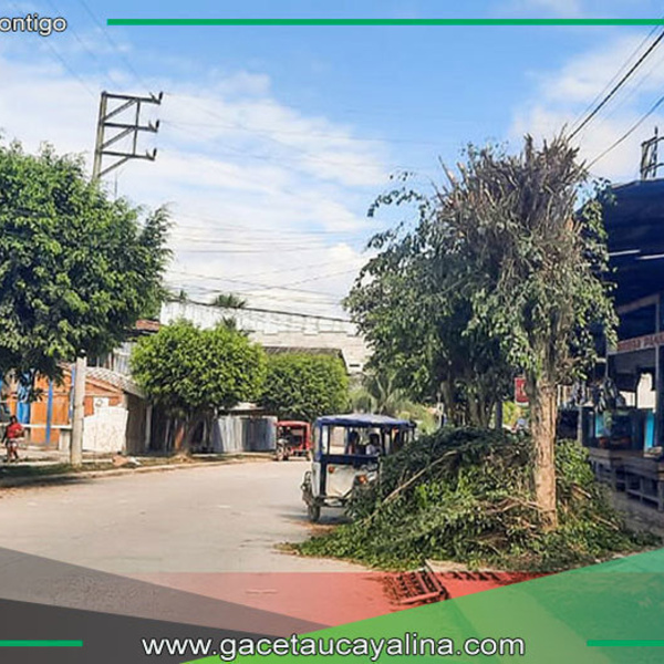 Municipalidad de Sepahua coordina mantenimiento urbano con intervención especializada
