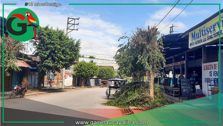 Municipalidad de Sepahua coordina mantenimiento urbano con intervención especializada