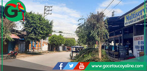 Municipalidad de Sepahua coordina mantenimiento urbano con intervención especializada