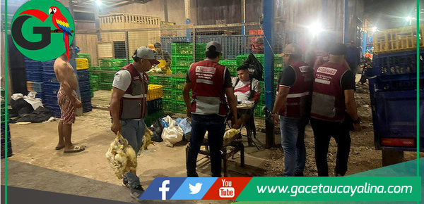 Municipio decomisa pollos e interviene estructuras en operativo de limpieza en Pucallpa