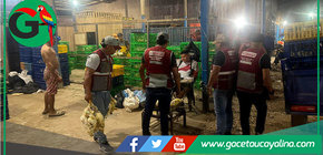 Municipio decomisa pollos e interviene estructuras en operativo de limpieza en Pucallpa