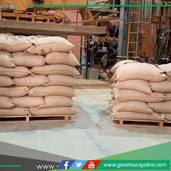 Ucayali celebra exportación histórica de café orgánico de calidad