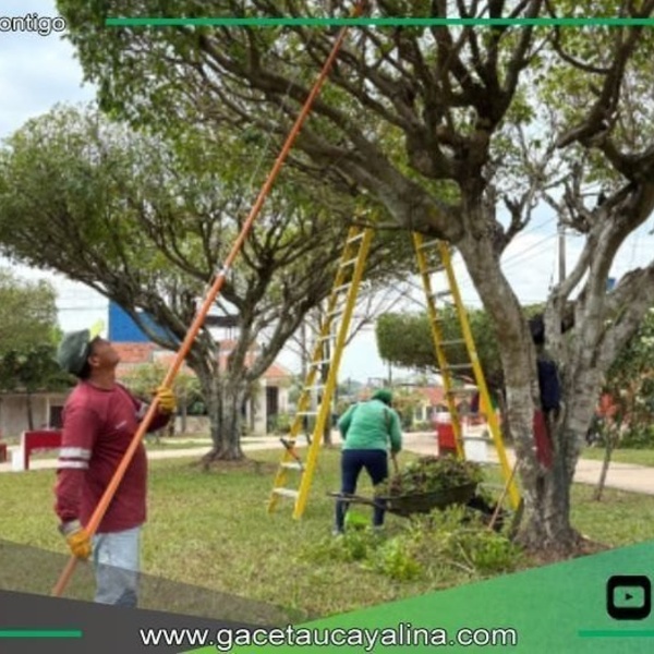 Municipalidad de Coronel Portillo embellece 15 parques en Pucallpa