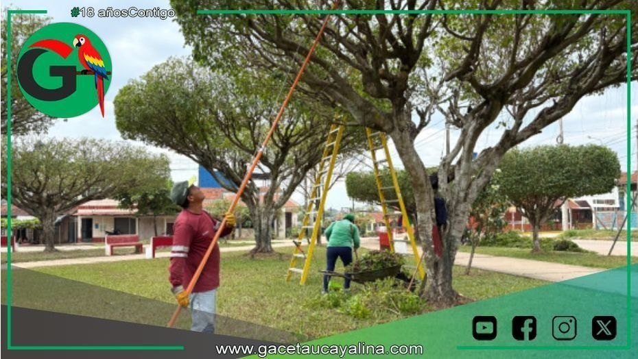 Municipalidad de Coronel Portillo embellece 15 parques en Pucallpa