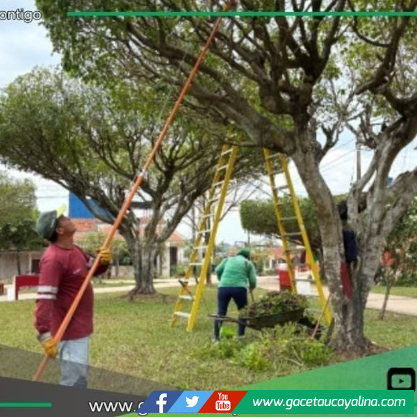 Municipalidad de Coronel Portillo embellece 15 parques en Pucallpa