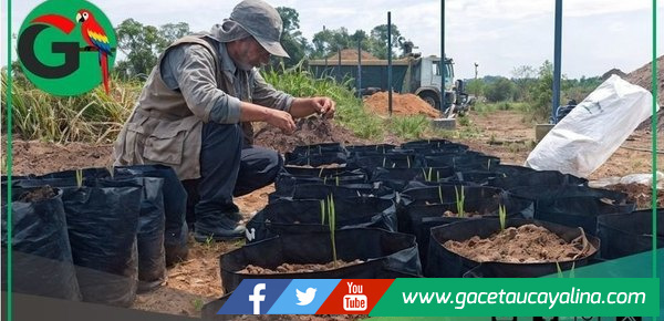 Sepahua transforma residuos en vida con biohuerto municipal sostenible
