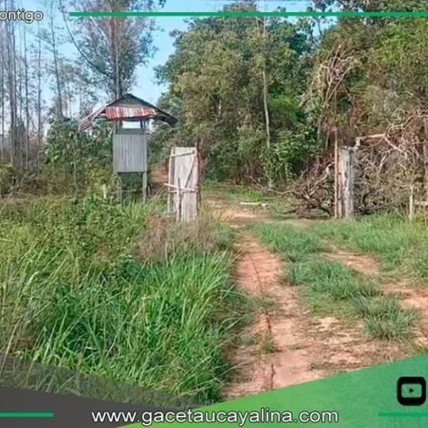 Trabajador muere tras balacera en carretera Federico Basadre en Pucallpa