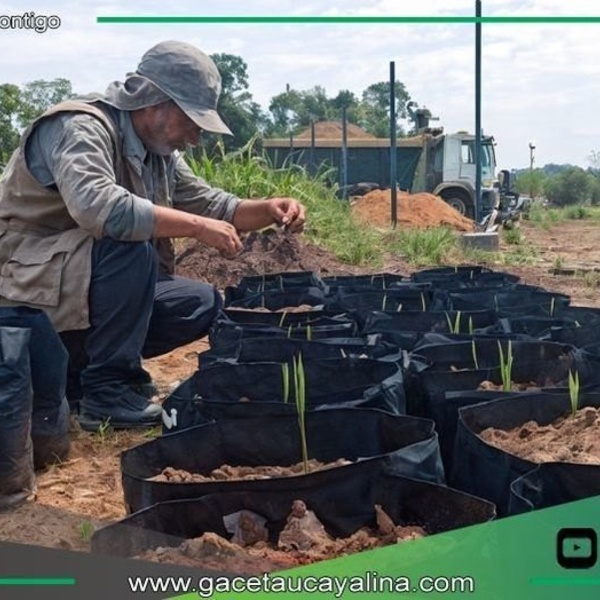 Sepahua transforma residuos en vida con biohuerto municipal sostenible