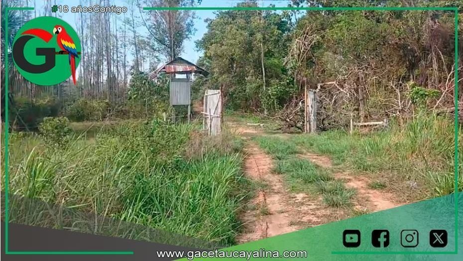 Trabajador muere tras balacera en carretera Federico Basadre en Pucallpa