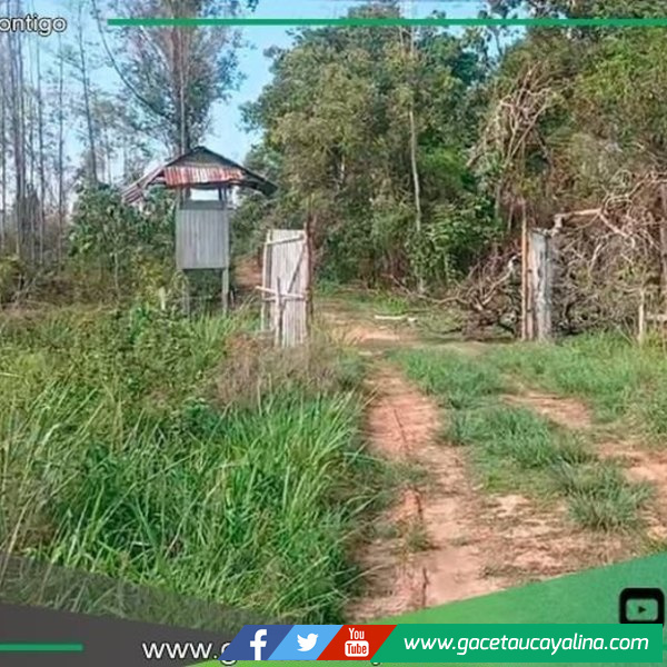 Trabajador muere tras balacera en carretera Federico Basadre en Pucallpa