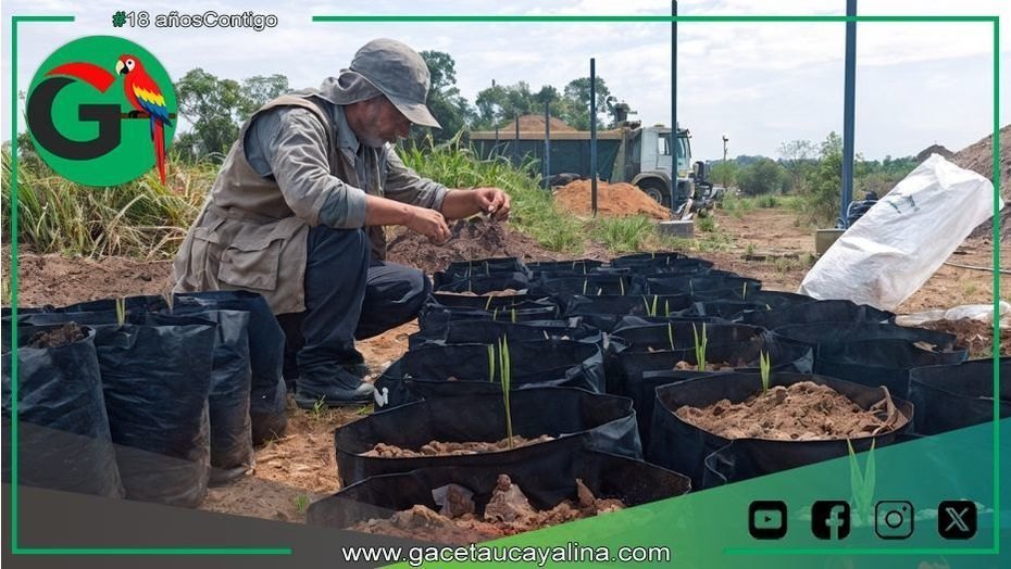 Sepahua transforma residuos en vida con biohuerto municipal sostenible