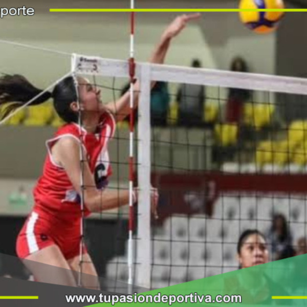Perú cayó ante Brasil y jugará por el tercer lugar del Sudamericano Sub 17