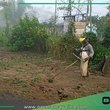 Municipalidad de Sepahua ejecuta limpieza integral en espacios públicos