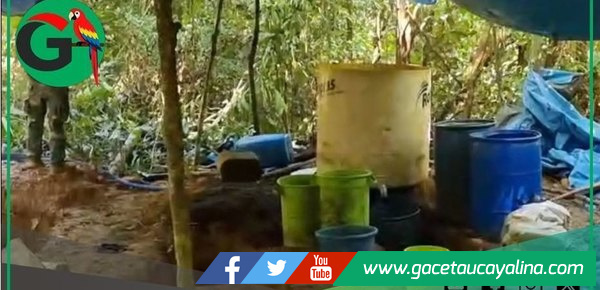 Policía destruye más de una tonelada de droga en Iparía