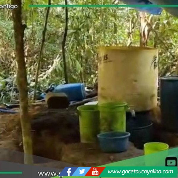 Policía destruye más de una tonelada de droga en Iparía