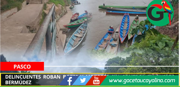 Delincuentes roban botes y motores sin control en Puerto Bermúdez