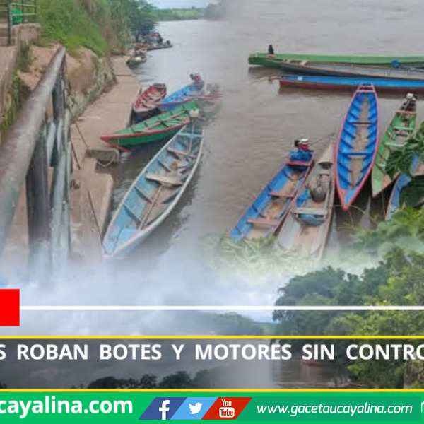 Delincuentes roban botes y motores sin control en Puerto Bermúdez