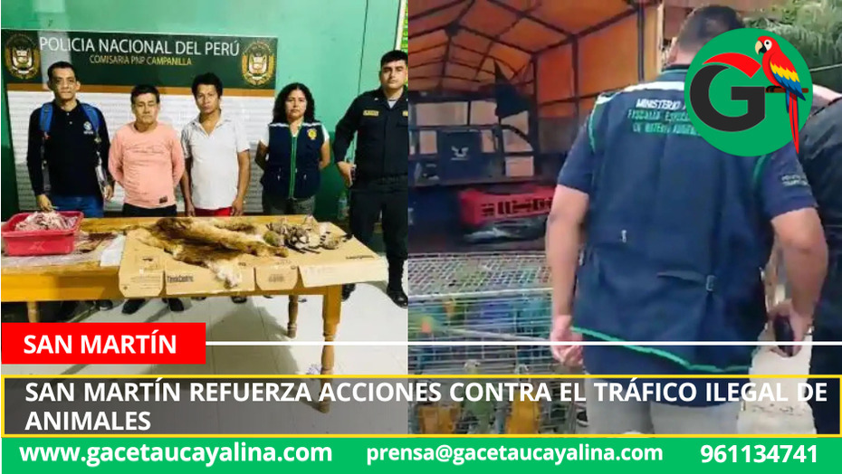San Martín refuerza acciones contra el tráfico ilegal de animales