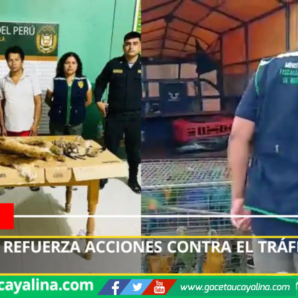San Martín refuerza acciones contra el tráfico ilegal de animales