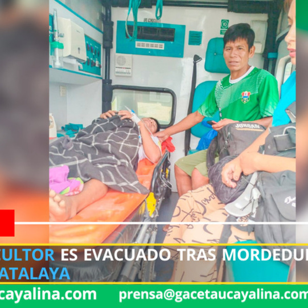 Joven agricultor es evacuado tras mordedura de víbora en Cocani - Atalaya