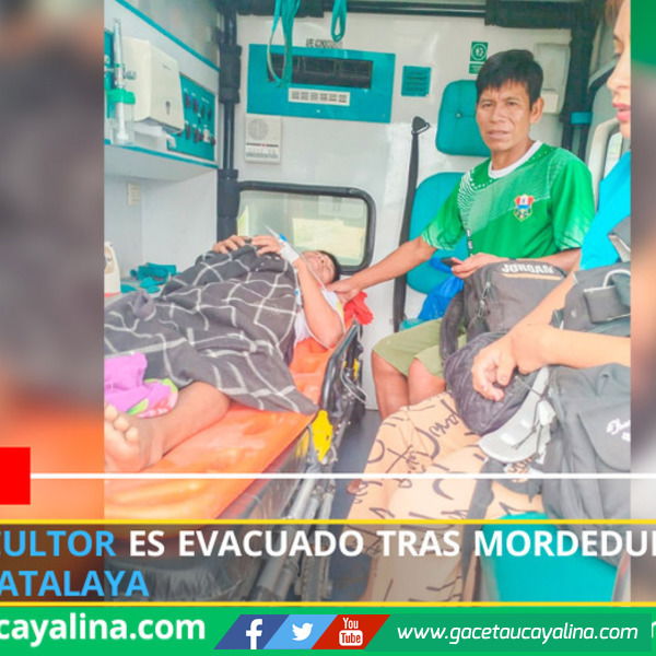 Joven agricultor es evacuado tras mordedura de víbora en Cocani - Atalaya