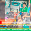Joven agricultor es evacuado tras mordedura de víbora en Cocani - Atalaya