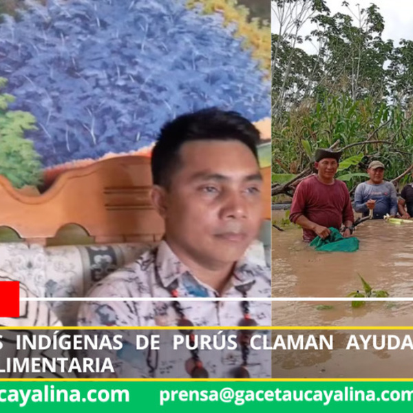 Foto: Infobae