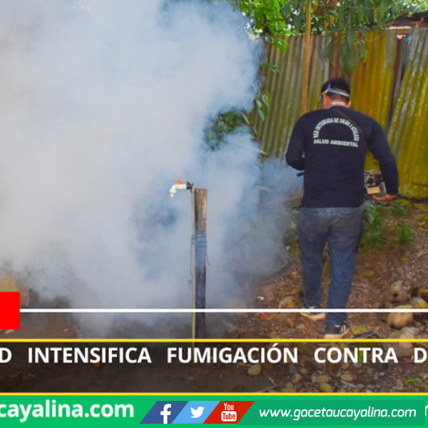 Red de Salud intensifica fumigación contra dengue en Atalaya