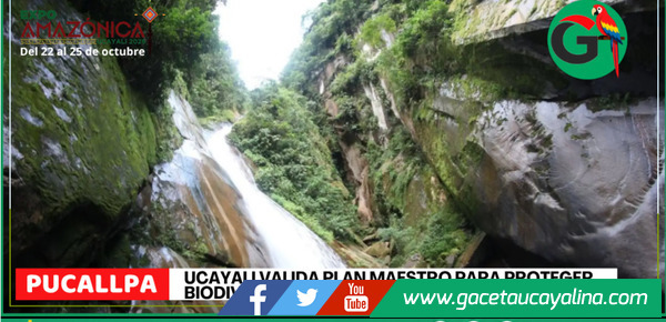 Ucayali valida plan maestro para proteger biodiversidad del ACR Velo de la Novia