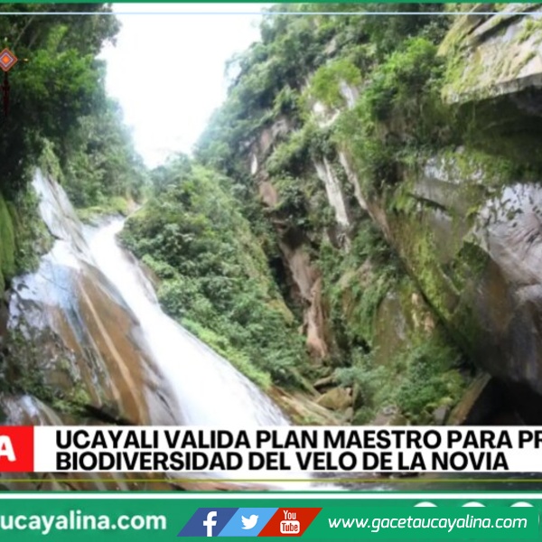 Ucayali valida plan maestro para proteger biodiversidad del ACR Velo de la Novia