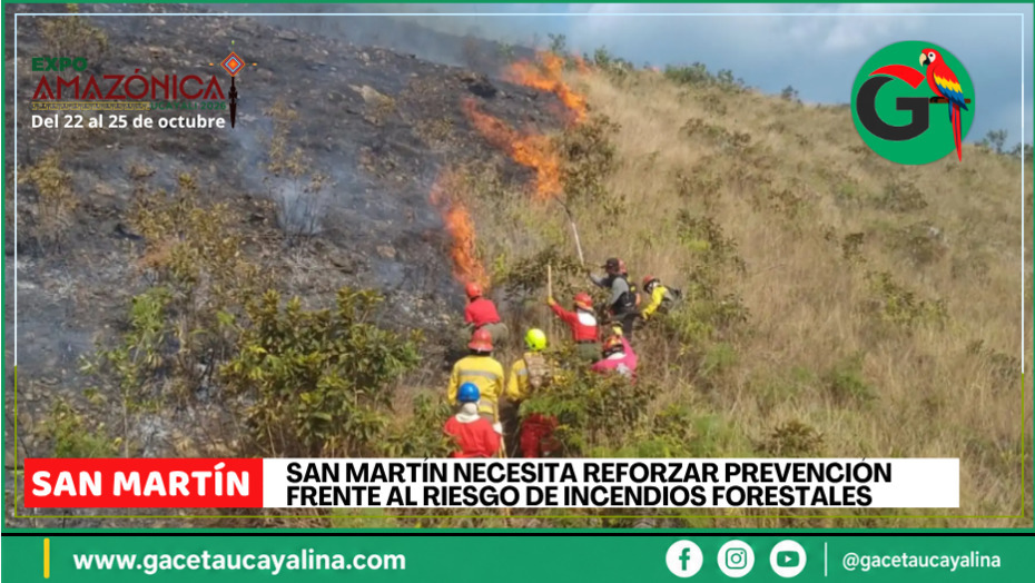 San Martín enfrenta alto riesgo de incendios forestales, advierten autoridades