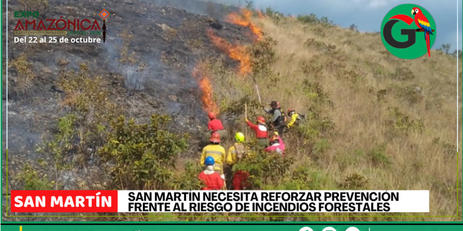 San Martín enfrenta alto riesgo de incendios forestales, advierten autoridades