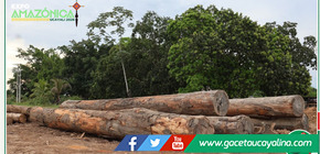 Expo Amazónica 2026 mostrará viviendas temporales de madera para emergencias amazónicas